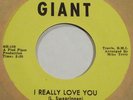 THE SANDPIPERS i really love you GIANT 705 pied piper RARE northern soul HEAR IT
