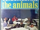 THE ANIMALS 