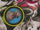 Yeah Yeah Yeahs Fever to Tell Vinyl LP Picure Disc