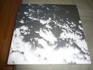 GROUPER / ROY MONTGOMERY lp  SUPER RARE  with art print
