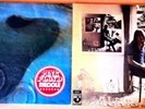 COPPIA DI DISCHI 33 GIRI PINK FLOYD - UMMAGUMMA - MEDDLE