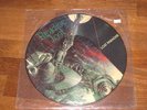 PARADISE LOST   UK imp. Picture Disc   12