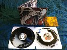 CONVERGE Petitioning Forever 2x LP Marbled Vinyl NM Isis boris give up the ghost