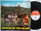 REGGAE IN THE GRASS - various STUDIO 1 LP listen
