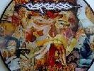 Carcass – Reek Of Putrefaction Rare Picture Disc LP New