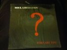 Soul Liberation-Who Are You? LP Rainbow R-5069 LPS  RARE GOSPEL with Lyrics