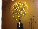 The Fray signed HOW TO SAVE A LIFE lp record autograph
