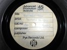SEEMON & MARIJKE Vegetable Stew PYE acetate The Fool Apple Beatles