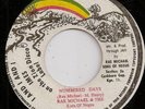 RAS MICHAEL / NUMBERED DAYS / LISTEN