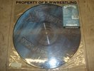 RARE BON JOVI NEW JERSEY NJ PICTURE DISC VINYL LP RECORD MERCURY/POLYGRAM