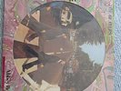 The Beatles Abbey Road LP Picture Disc in Die Cut Cover