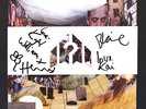 Stunning *ONE COPY ONLY* Mystery Jets FULLY SIGNED 7
