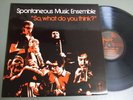 SPONTANEOUS MUSIC ENSEMBLE UK LP, SO, WHAT DO YOU THINK? Derek Bailey