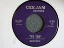 TEFTELLER GARAGE PSYCH Godfrey The Trip Classic Fowley Pebbles Cee-Jam 3 HEAR IT