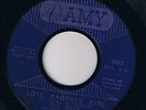 SUPER RARE.. Soul.. Hal Miller & The Rays..Love another girl..On AMY  ORIGINAL