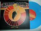 Kings Of Leon – What I Saw (Blue Vinyl) Very Rare Vinyl NM Indie Rock