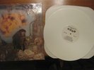 Iota s/t LP RARE Texas Hard Rock White Vinyl Rockadelic
