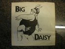 RARE---New Wave / Heavy Metal----BIG DAISY-----Ellie Jay---1980------HEAR  