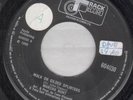 MARSHA HUNT walk on gilded splinters 7