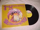 The Jimi Hendrix Experience  Are You Experienced  Reprise R-6261 MONO LP