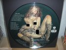 Metallica - The Black Album Picture Disc - JAPANESE PROMO  thrash megadeth