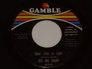Northern Soul US 7” vinyl WHAT KIND OF LADY – DEE DEE SHARP