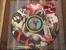 Yeah Yeah Yeahs - Fever To Tell Picture Disc RARE