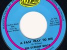 HEAR Detroit Riots-A Fast Way To Die 67 MI grinding fuzzpunk anthem M-