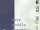 Anticon 2x Vinyl  - Deep Puddle Dynamics – The Taste Of Rain.. Why Kneel RARE