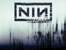 Nine Inch Nails - With Teeth Vinyl Import
