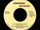 BROWN LIGHTNING ORCHESTRA - la staruday nite - RARE BOOGIE FUNK 45