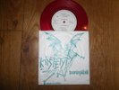 Riistetyt tuomiopaiva ep Propaganda kill city Finnish punk Terveet Kadet Lama