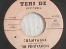 THE PENETRATIONS 
