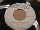 WAILERS IT HURTS TO BE ALONE I'M GOING HOME BOB MARLEY ROOTS REGGAE NICE