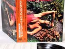 ROXY MUSIC stranded JAPAN '78 LP w/OBI  [FREE P+P]