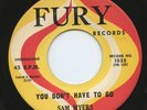 HEAR - Rare Blues 45 - Sam Myers - You Don't Have To Go - Mint minus