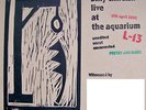 BILLY CHILDISH 'POETRY & BLUES AT THE AQUARIUM L-13' VINYL DOUBLE ALBUM SIGNED