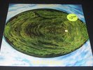 SEALED/MINT LP Mike Oldfield Hergest Ridge