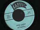 The Skeptics Apple Candy 45 on Kampus Oklahoma garage punk from '67 VG++ vinyl