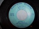 The Personations and Organization - Future/Future II - Psych/Funk 45 - LISTEN