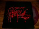 PROFANATICA profanatitas de domonatia lim.111  Die Hard LP darkthrone mayhem