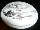 Human Cargo Carry Us Beyond Rare Killer Roots 12