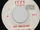Mickey Lee Lane   Hey-Sah-Loney .NORTHERN SOUL