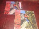 DAVID LEE ROTH SKYSCRAPER ORIGINAL 1988 WARNER ISSUE & 180 GRAM AUDIOPHILE COMBO
