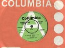 PINK FLOYD It Would Be So Nice ORIGINAL 1968 UK One Sided Columbia DEMO . EX+