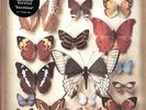 TORRINI,EMILIANA - RARITIES [VINYL NEW]