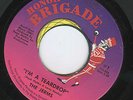 NORTHERN /GARAGE  THE JERMS   I'M A TEARDROP   HONOR BRIGADE   ORIGINAL