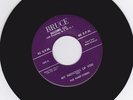 Very scarce 1954 BRUCE label 102 THE HARP-TONES 