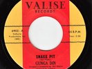 GUNGA DIN Snake Pit RARE RAW FUNK 45 * LISTEN Valise Crabcakes Valkyrie