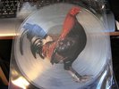 RARE LP VINYL RECORD PICTURE DISC-KING KURT-BIG COCK ?? HELP 